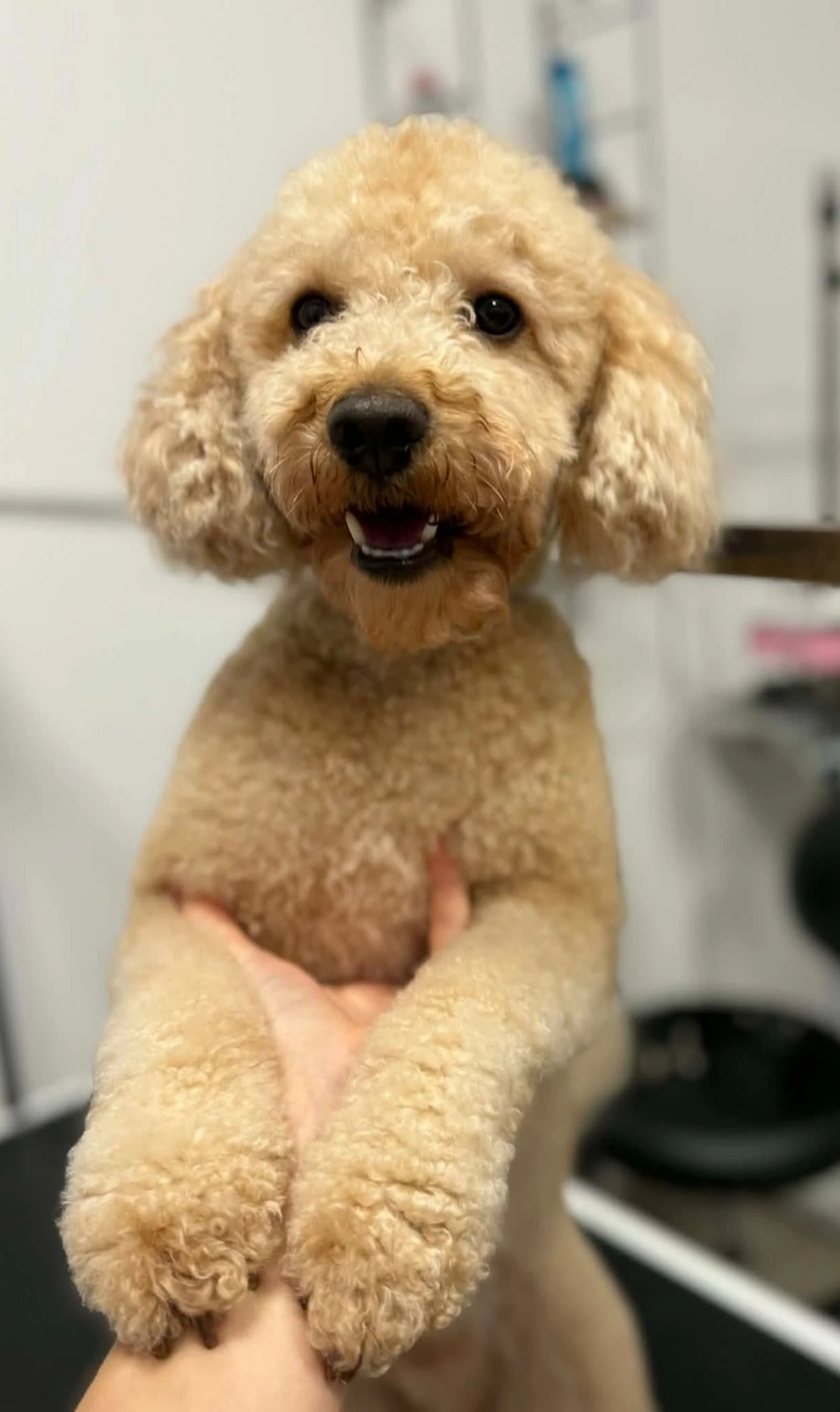 Profesjonalna stylizacja po strzyżeniu – elegancki efekt końcowy