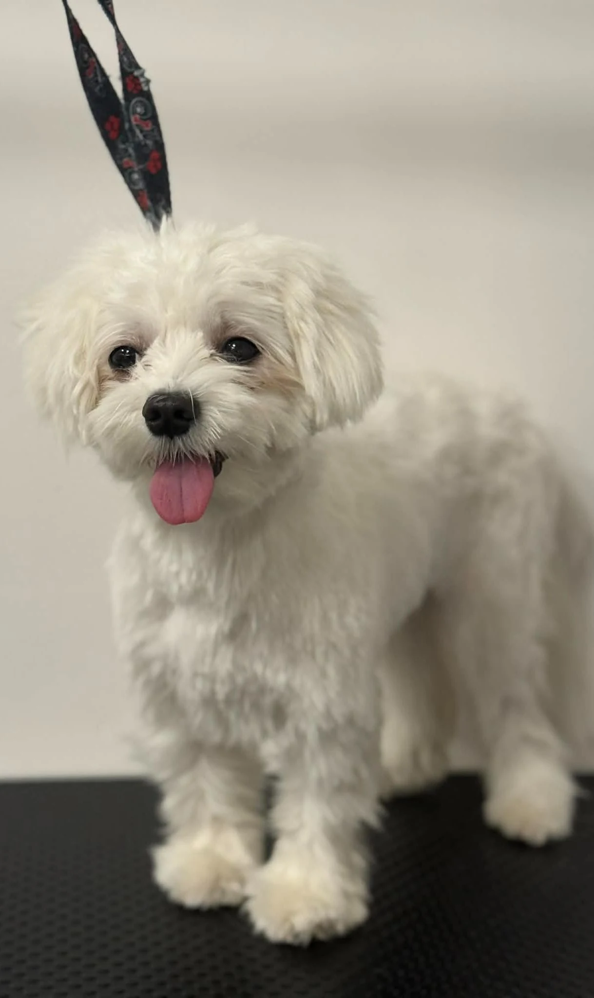 Zadowolony pupil po kompleksowej pielęgnacji w salonie